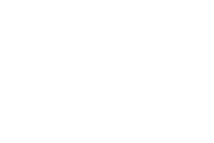 logo FLEO FLEX